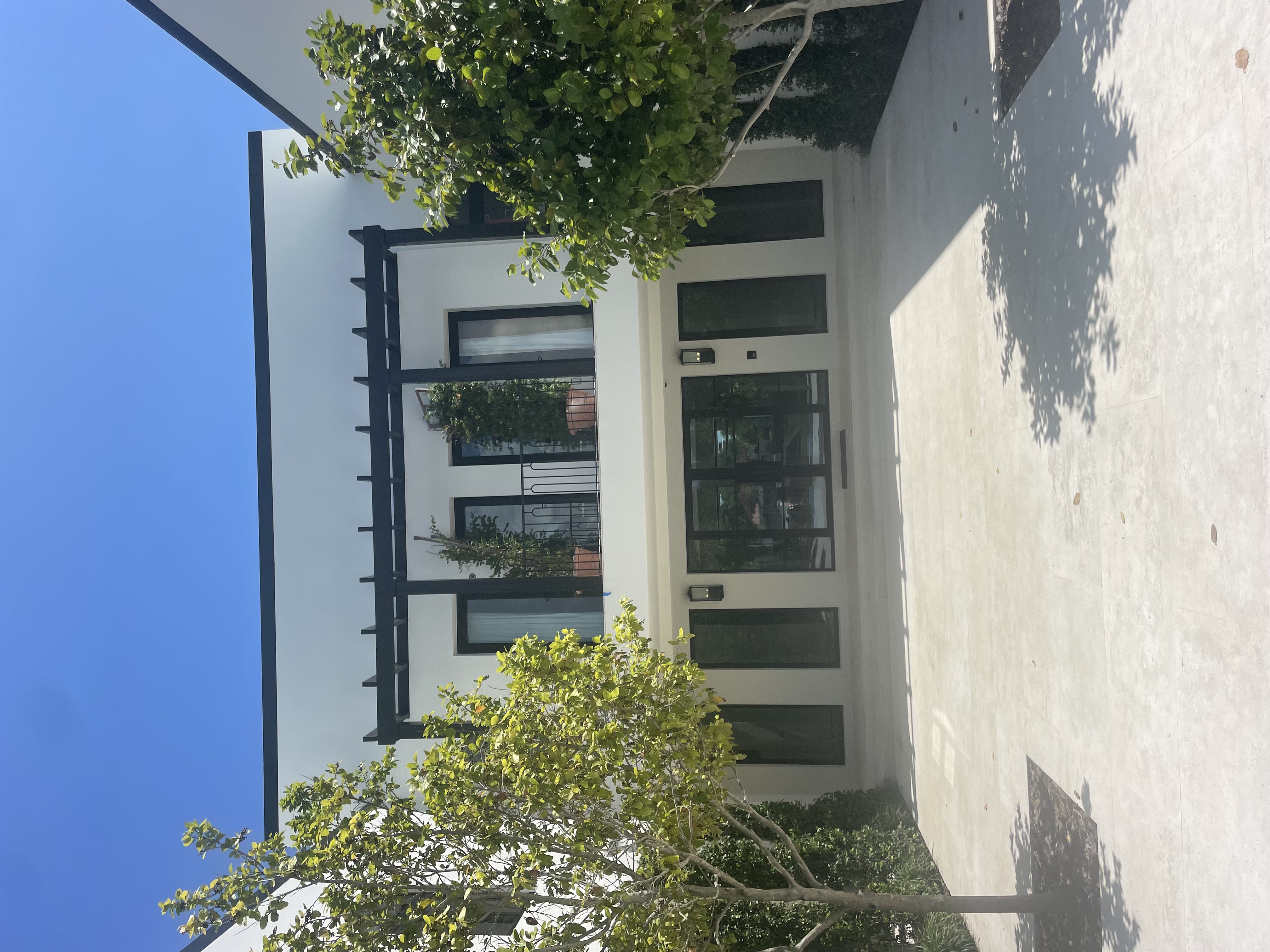 Modern Aluminum Entrance